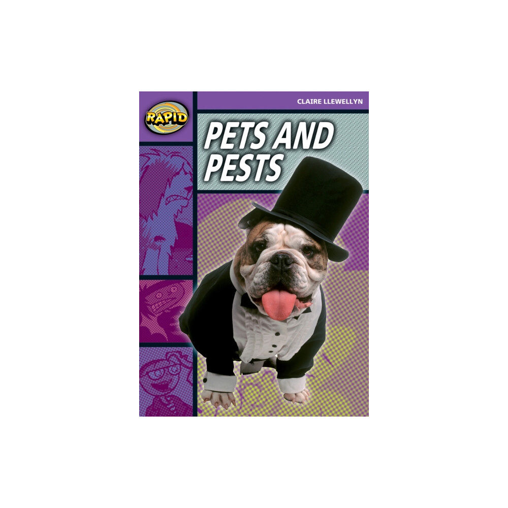 Pearson Education Limited Rapid Reading: Pets and Pests (Stage 1, Level 1B) (häftad, eng)
