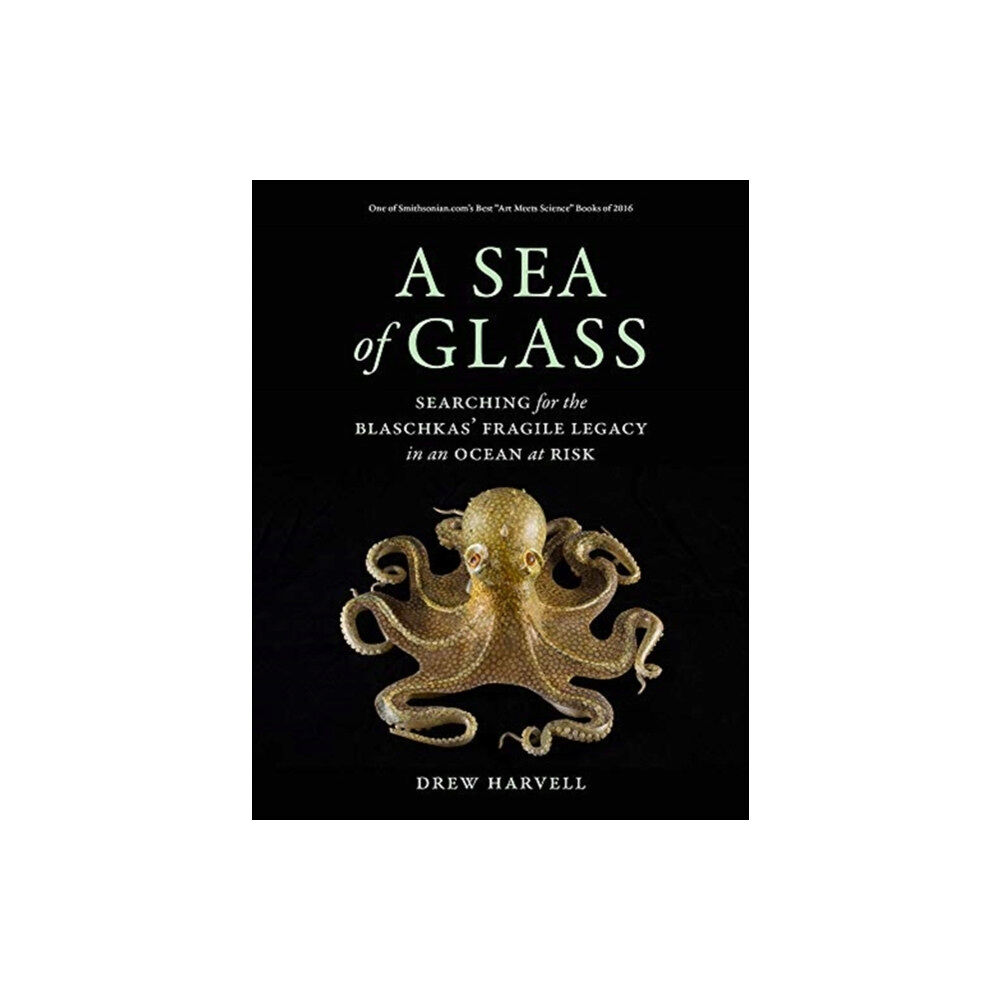 University of california press A Sea of Glass (häftad, eng)