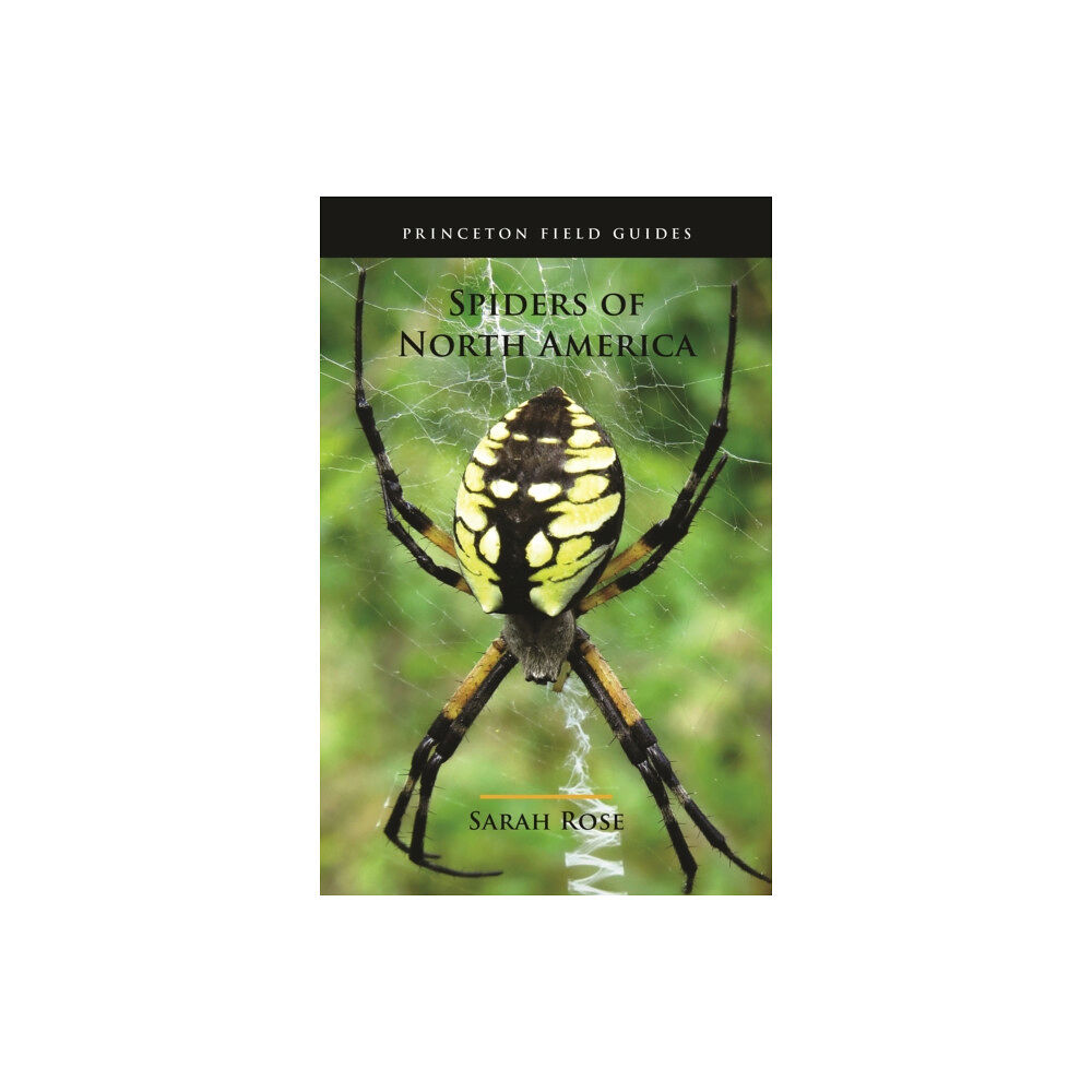 Princeton University Press Spiders of North America (häftad, eng)