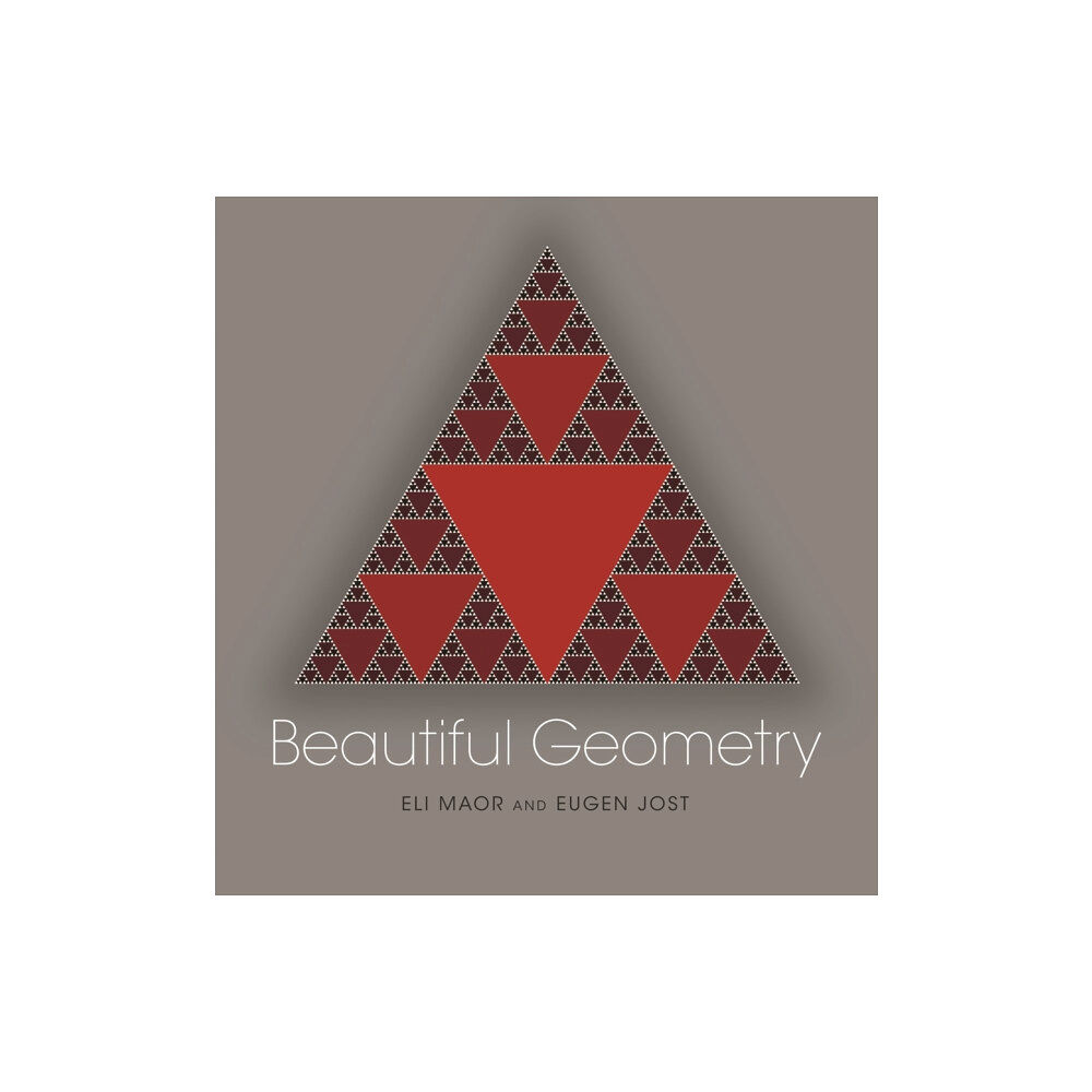 Princeton University Press Beautiful Geometry (häftad, eng)