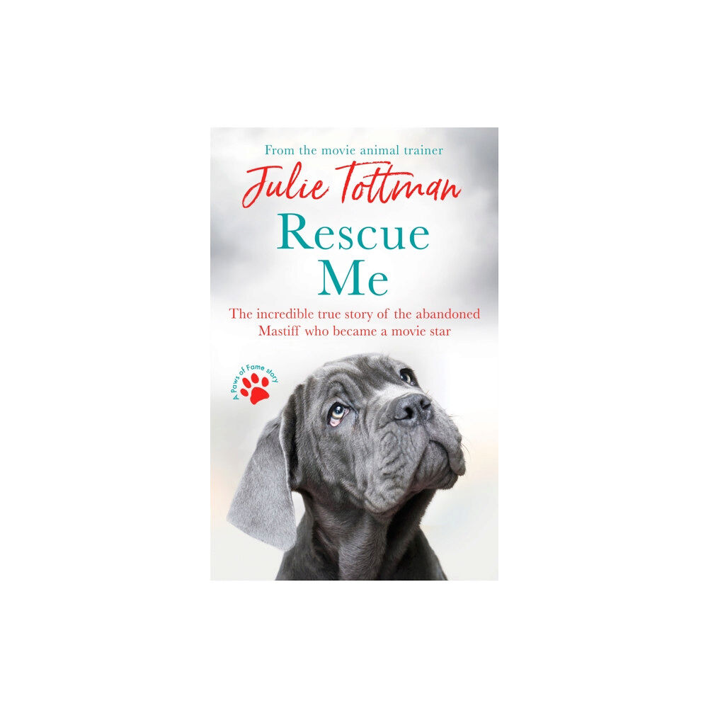 Little, Brown Book Group Rescue Me (häftad, eng)