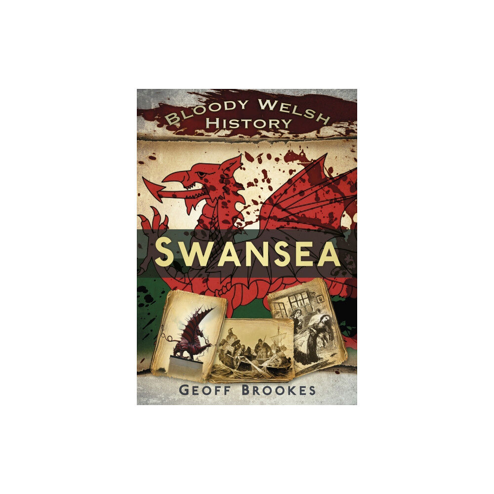 The History Press Ltd Bloody Welsh History: Swansea (häftad, eng)