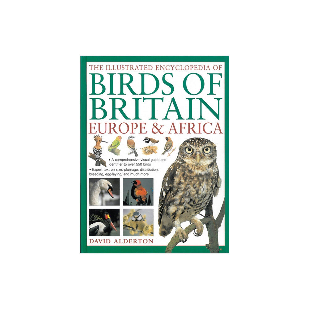 Anness publishing The Illustrated Encyclopedia of Birds of Britain Europe & Africa (inbunden, eng)
