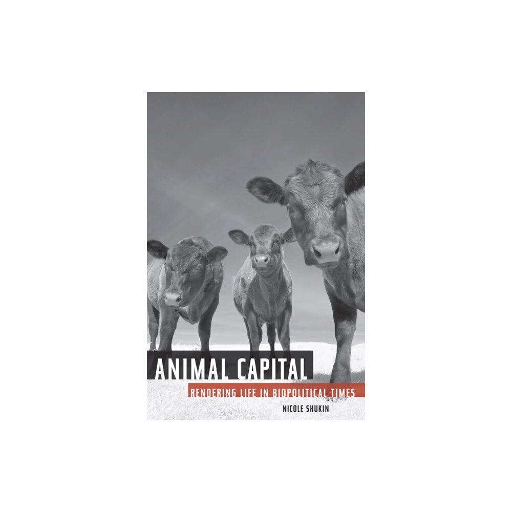 University of Minnesota Press Animal Capital (häftad, eng)