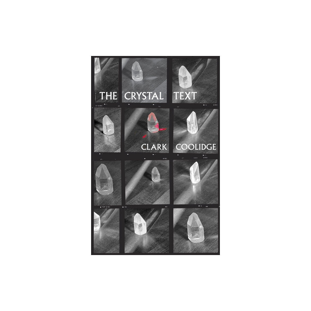 City Lights Books The Crystal Text (häftad, eng)