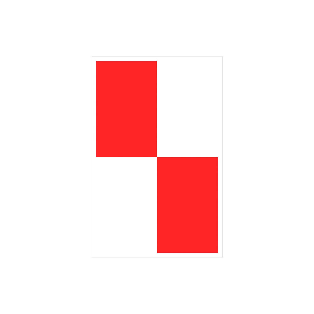 Lisson Gallery Carmen Herrera (inbunden, eng)