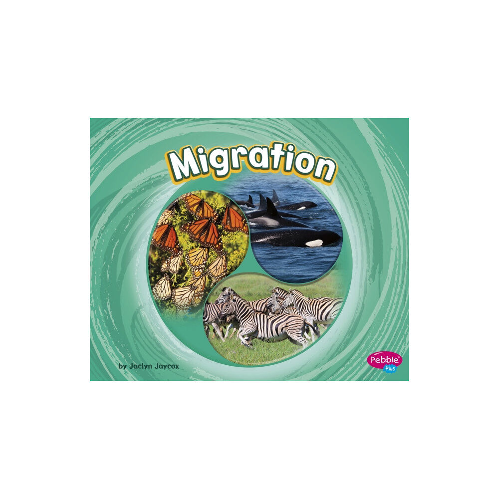 Capstone Global Library Ltd Migration (häftad, eng)