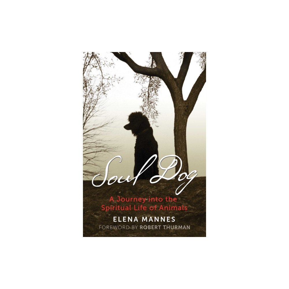 Inner Traditions Bear and Company Soul Dog (häftad, eng)