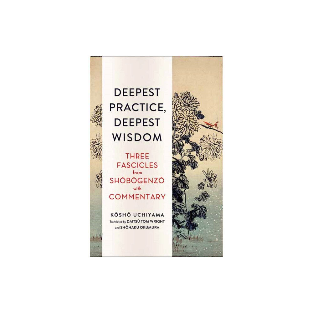 Wisdom publications,u.s. Deepest Practice, Deepest Wisdom (häftad, eng)