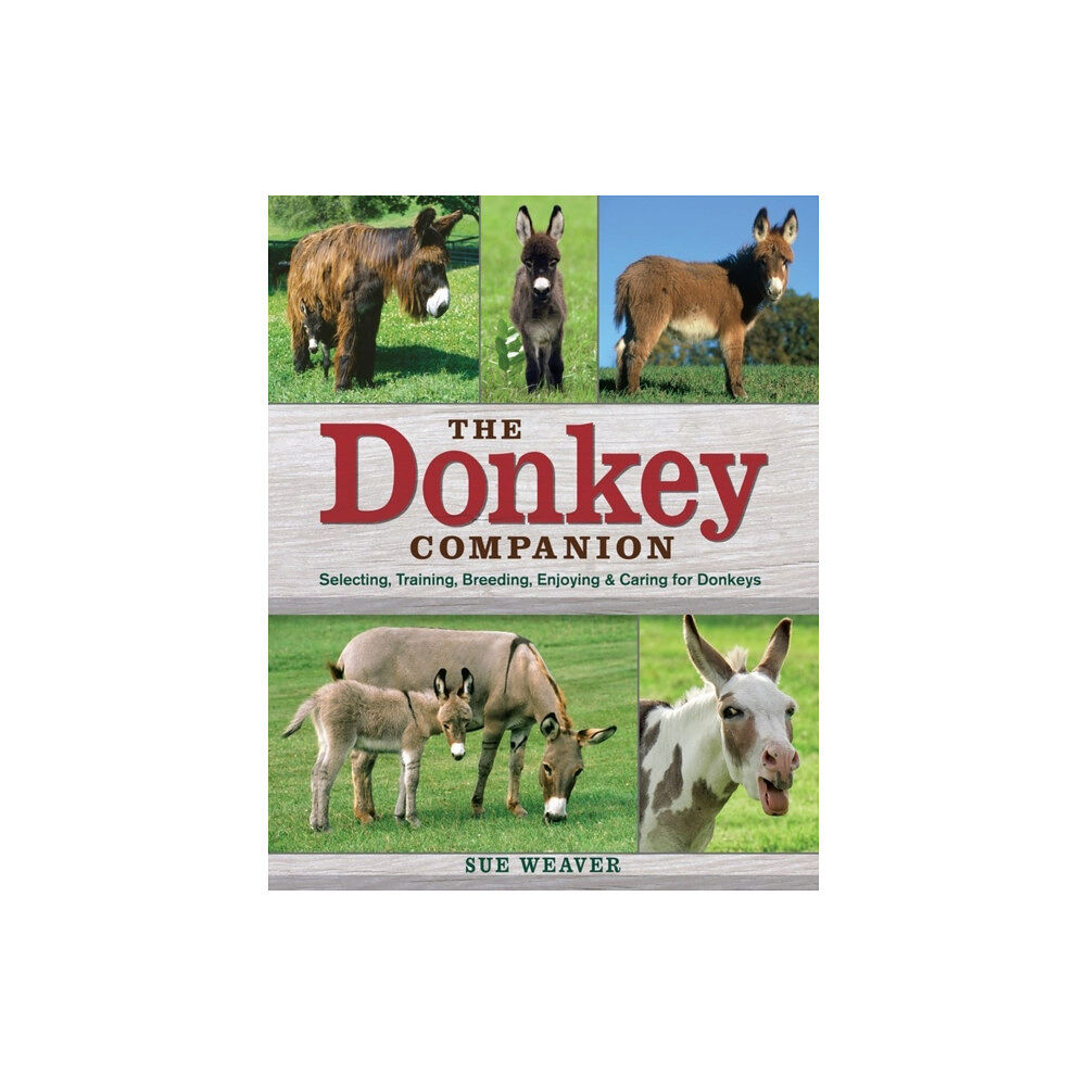 Workman Publishing Donkey Companion (häftad, eng)