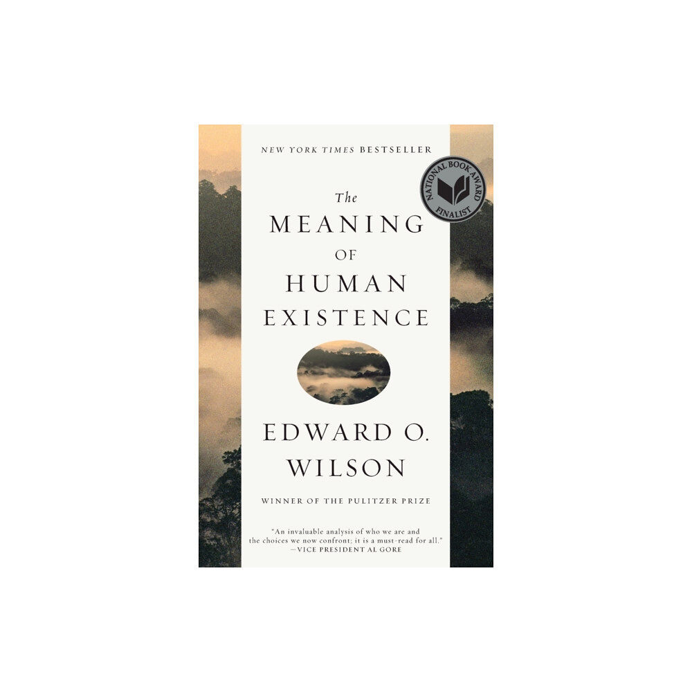 W W Norton & Co Ltd The Meaning of Human Existence (häftad, eng)