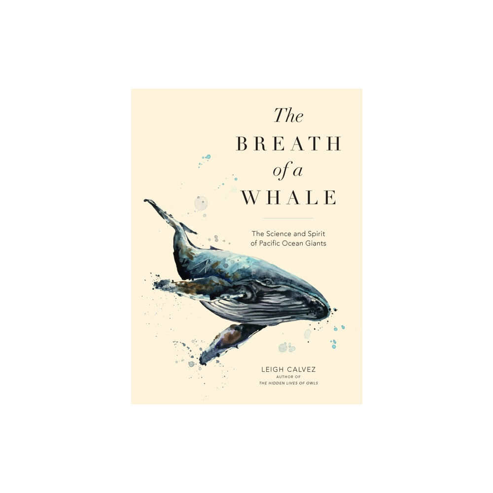 Sasquatch Books The Breath of a Whale (häftad, eng)
