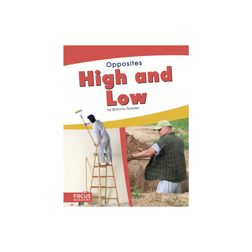 North Star Editions High and Low (häftad, eng)