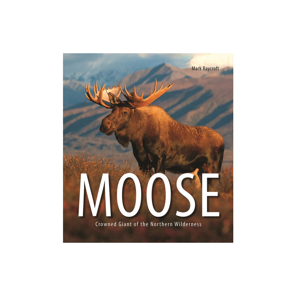 Firefly Books Ltd Moose (häftad, eng)
