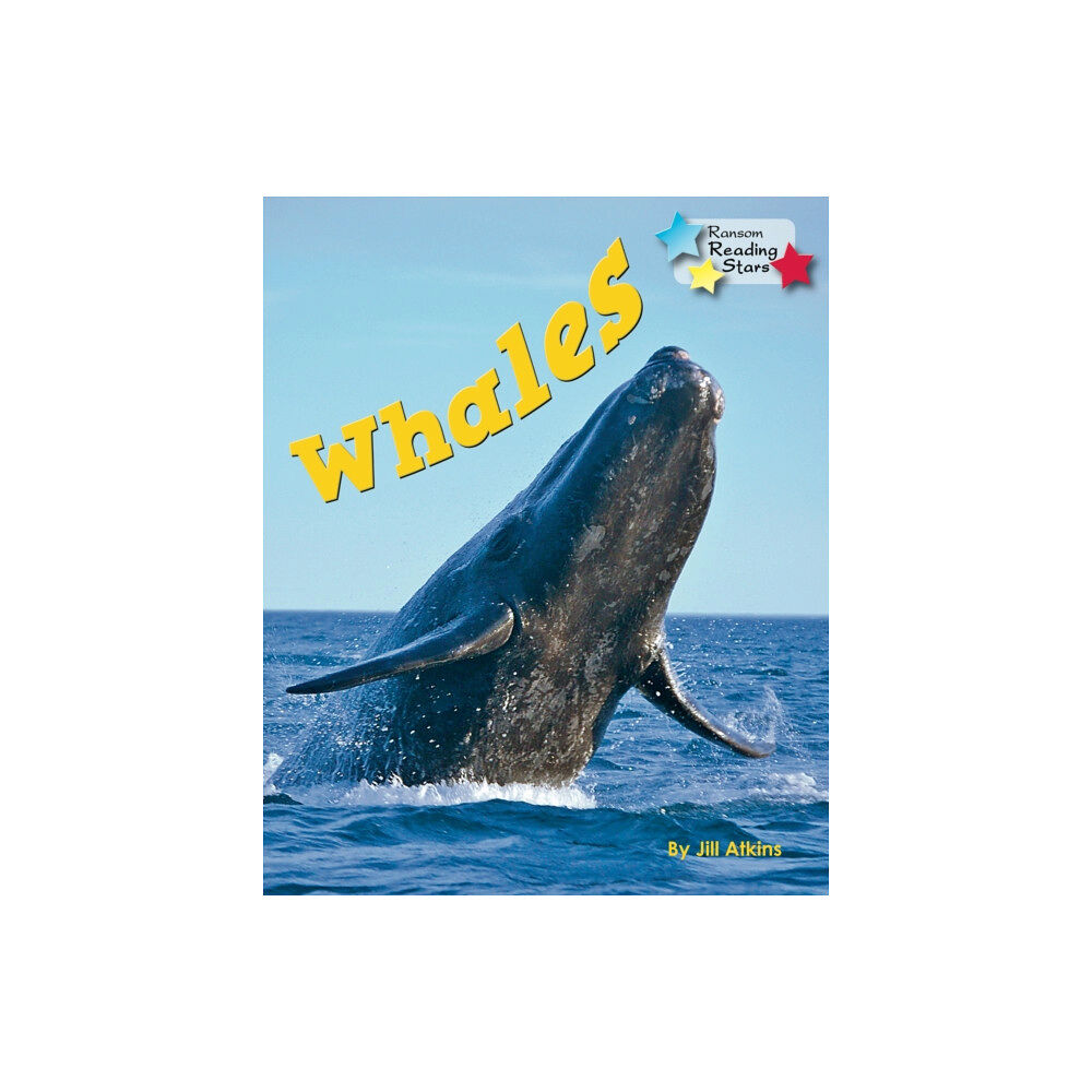 Ransom Publishing Whales (häftad, eng)