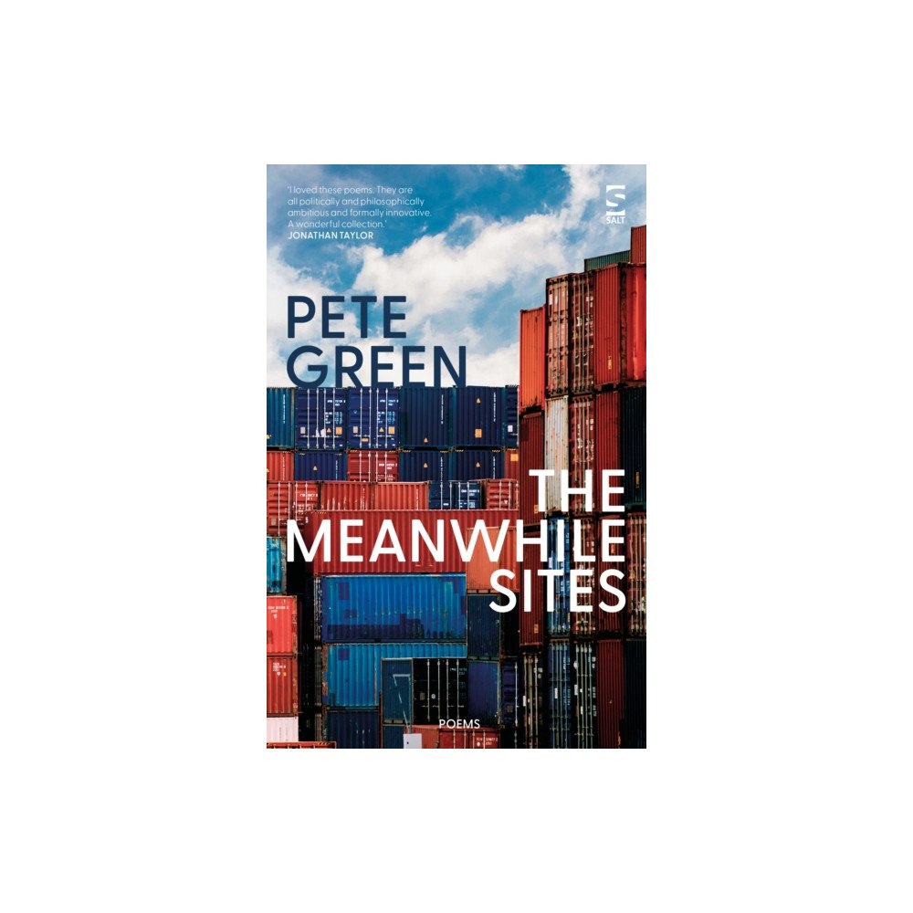 Salt Publishing The Meanwhile Sites (häftad, eng)