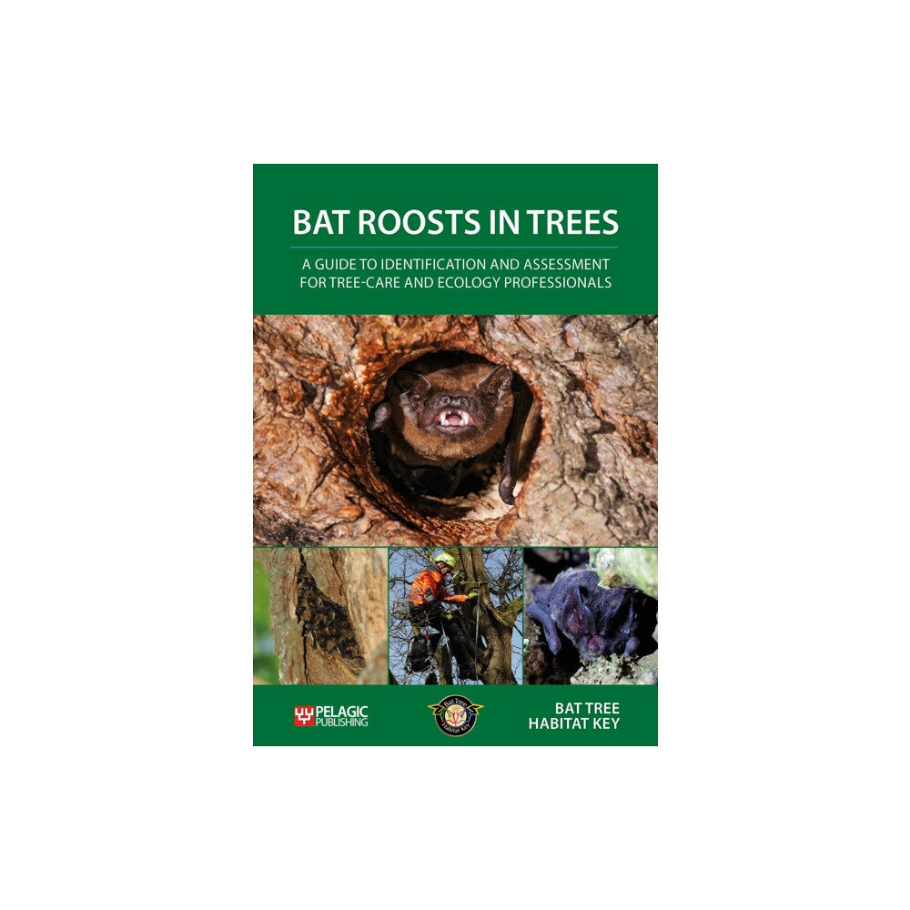 Pelagic Publishing Bat Roosts in Trees (häftad, eng)