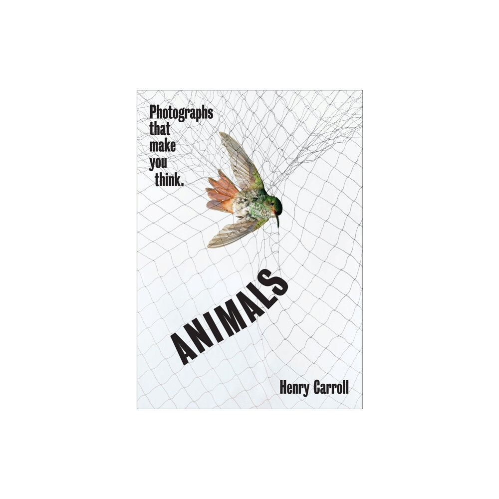 Abrams ANIMALS (häftad, eng)