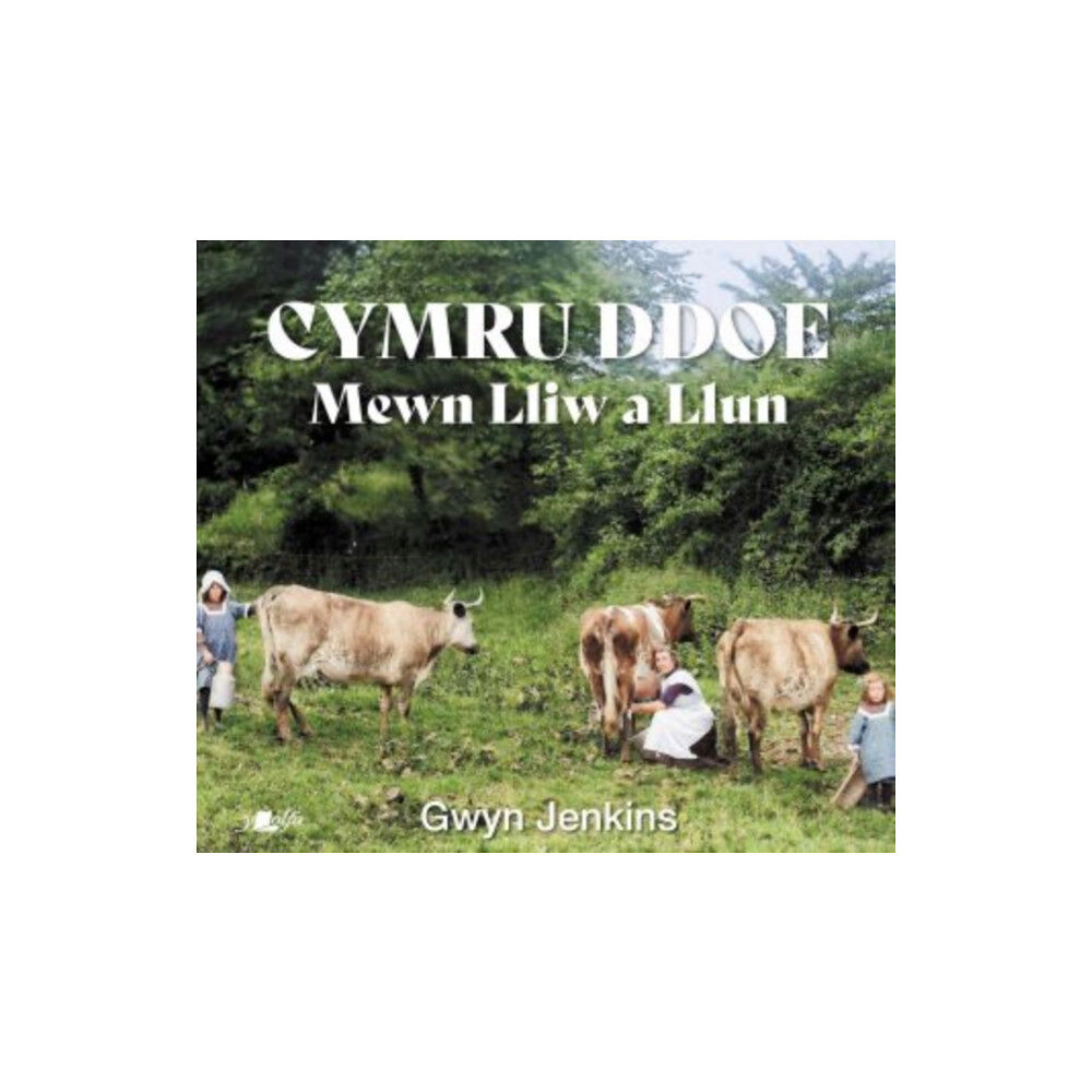 Y Lolfa Cymru Ddoe Mewn Lliw a Llun (inbunden, wel)