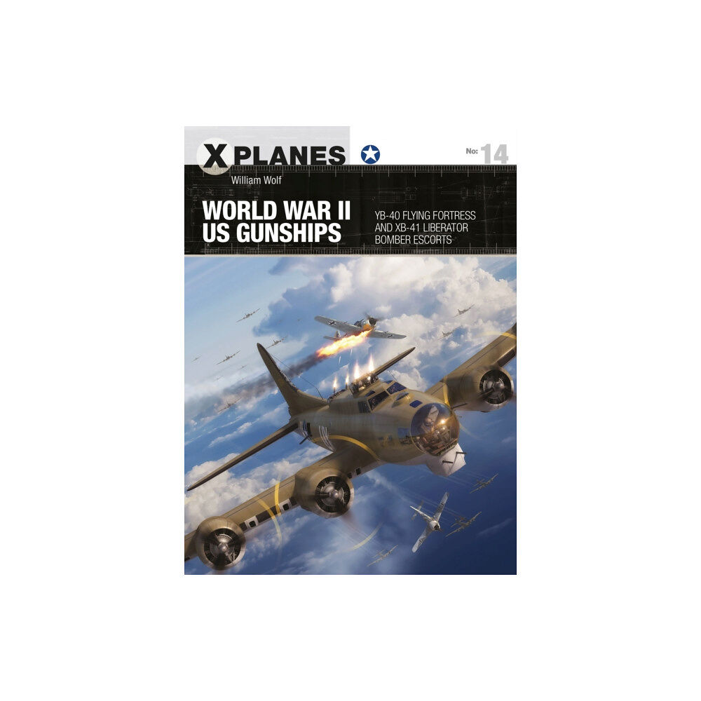 Bloomsbury Publishing PLC World War II US Gunships (häftad, eng)