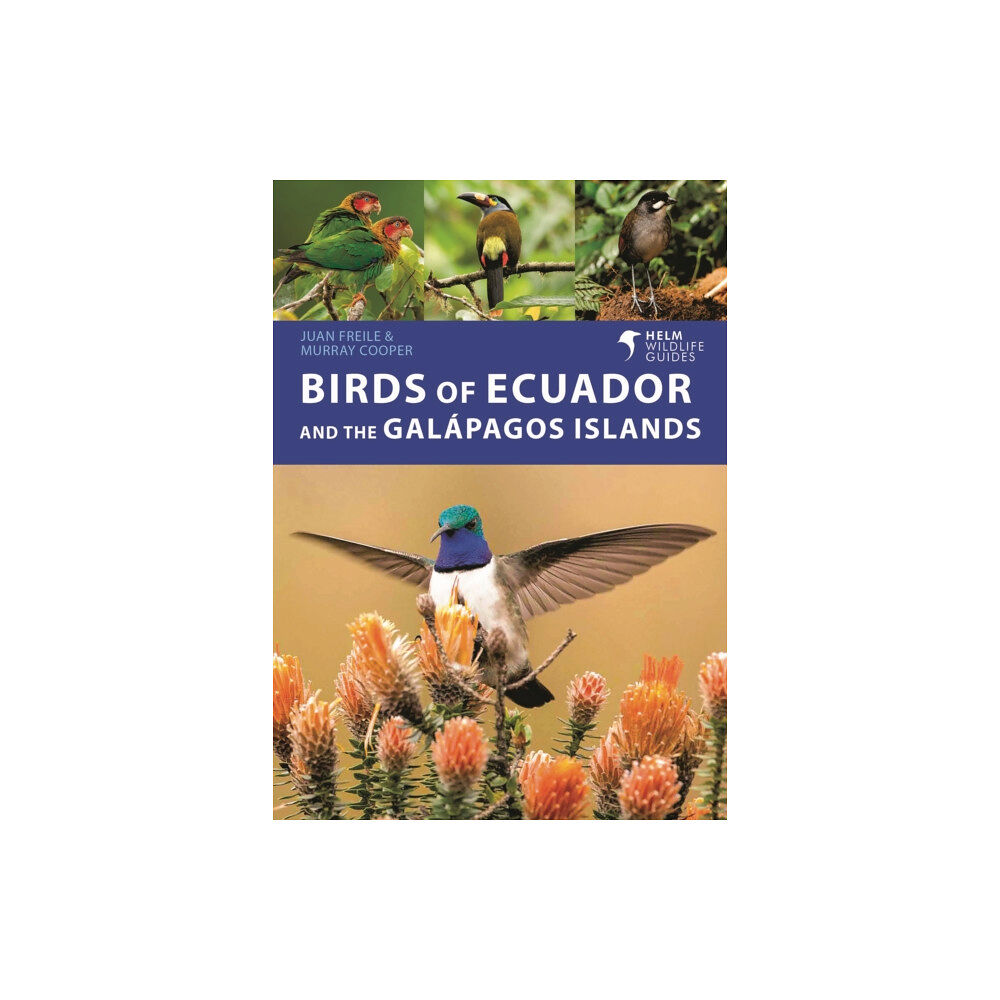 Bloomsbury Publishing PLC Birds of Ecuador and the Galapagos Islands (häftad, eng)