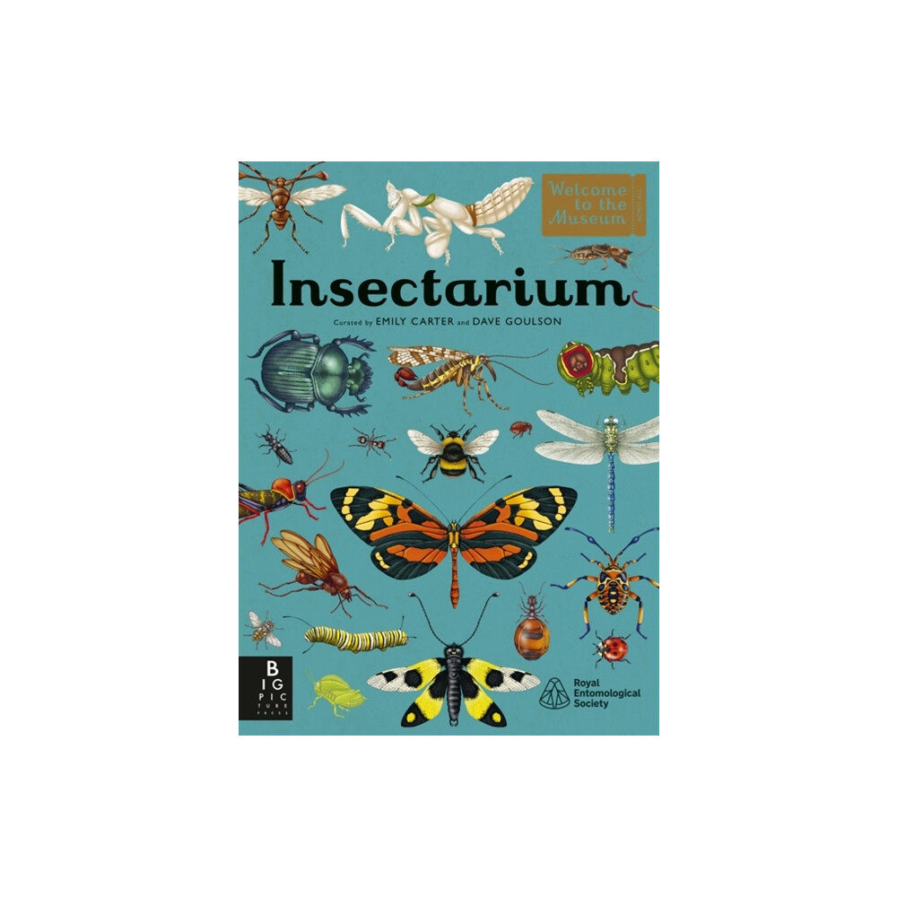 Templar Books Insectarium (inbunden, eng)