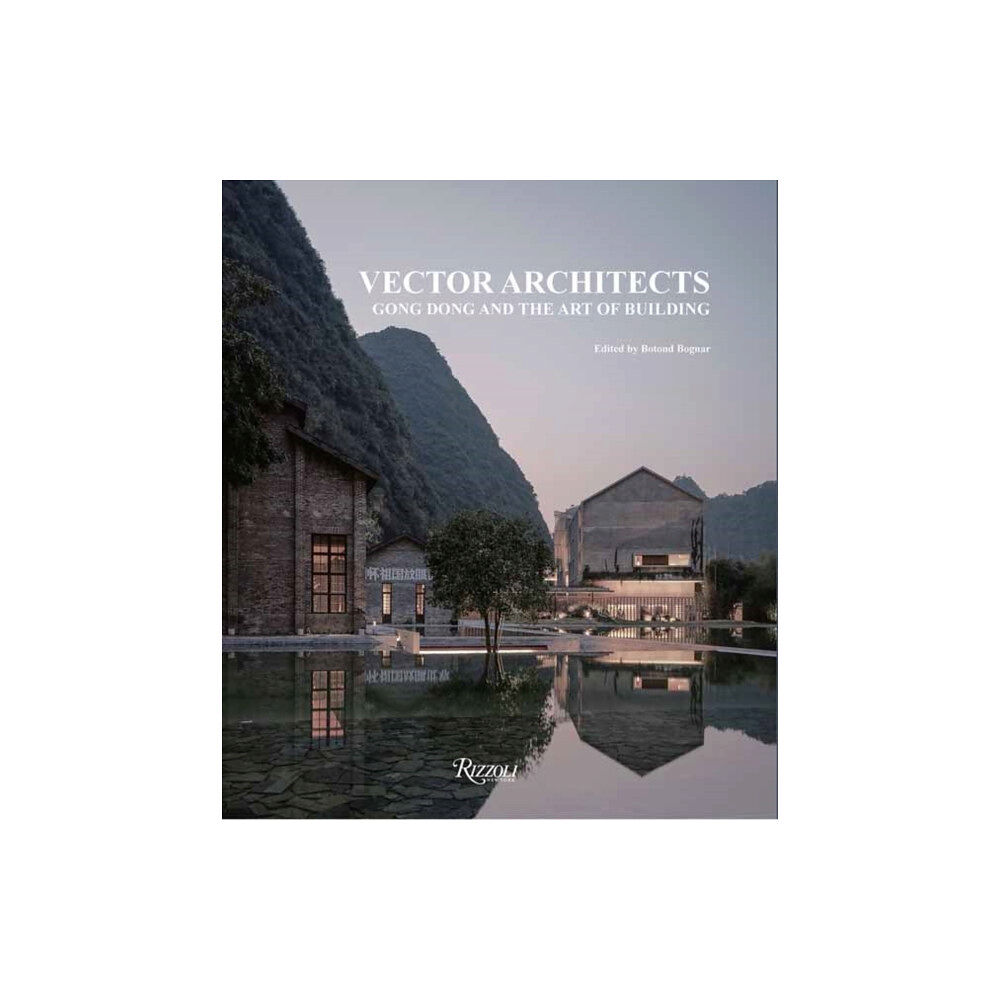 Rizzoli International Publications Vector Architects (inbunden, eng)