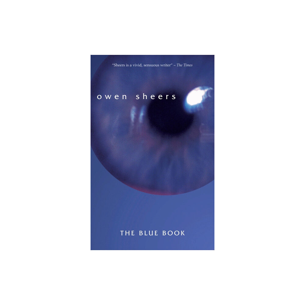 Poetry Wales Press The Blue Book (häftad, eng)