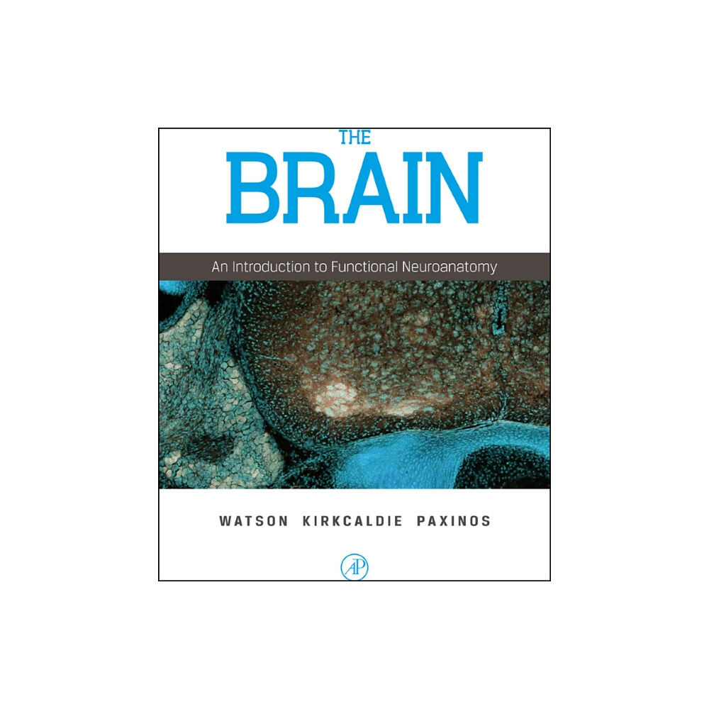 Elsevier Science Publishing Co Inc The Brain (inbunden, eng)