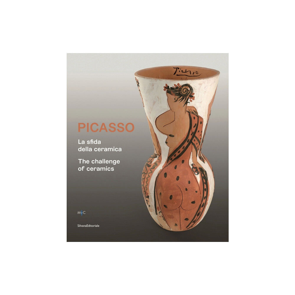 Silvana Picasso (häftad, eng)