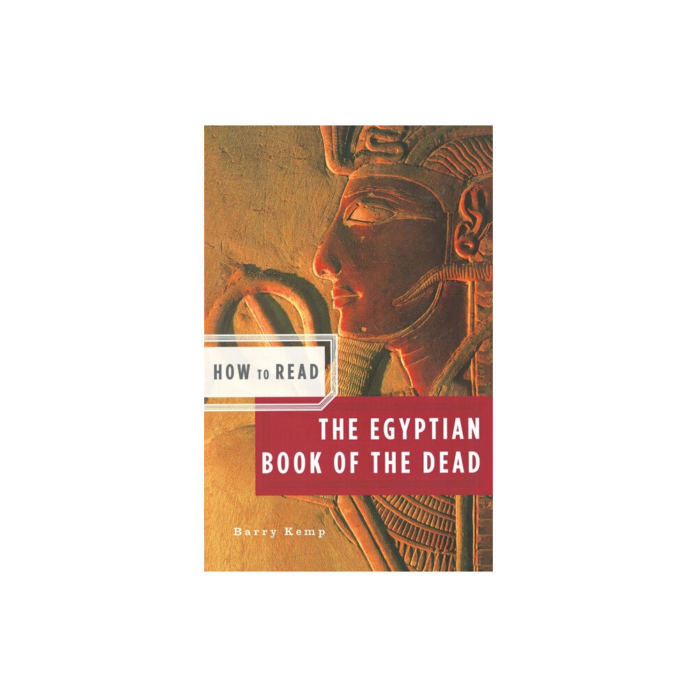 WW Norton & Co How to Read the Egyptian Book of the Dead (häftad, eng)