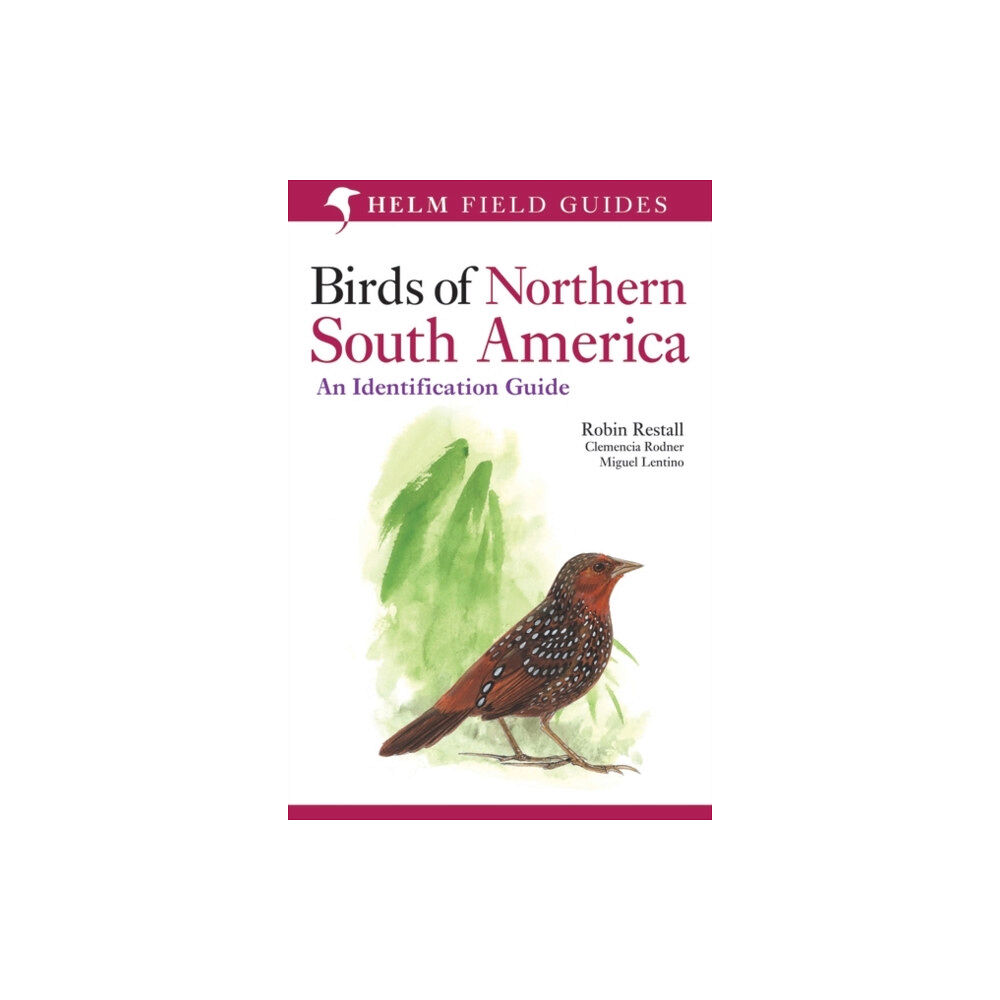 Bloomsbury Publishing PLC Birds of Northern South America: An Identification Guide (häftad, eng)