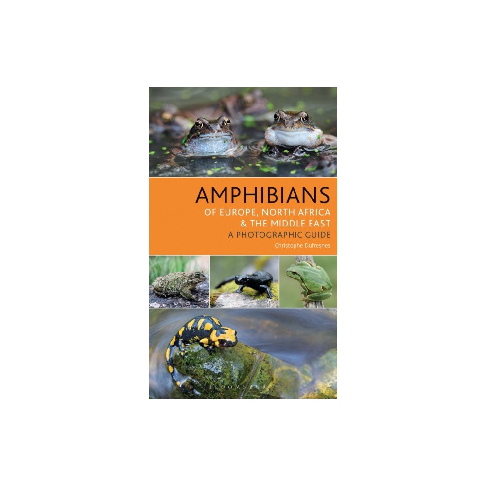 Bloomsbury Publishing PLC Amphibians of Europe, North Africa and the Middle East (häftad, eng)