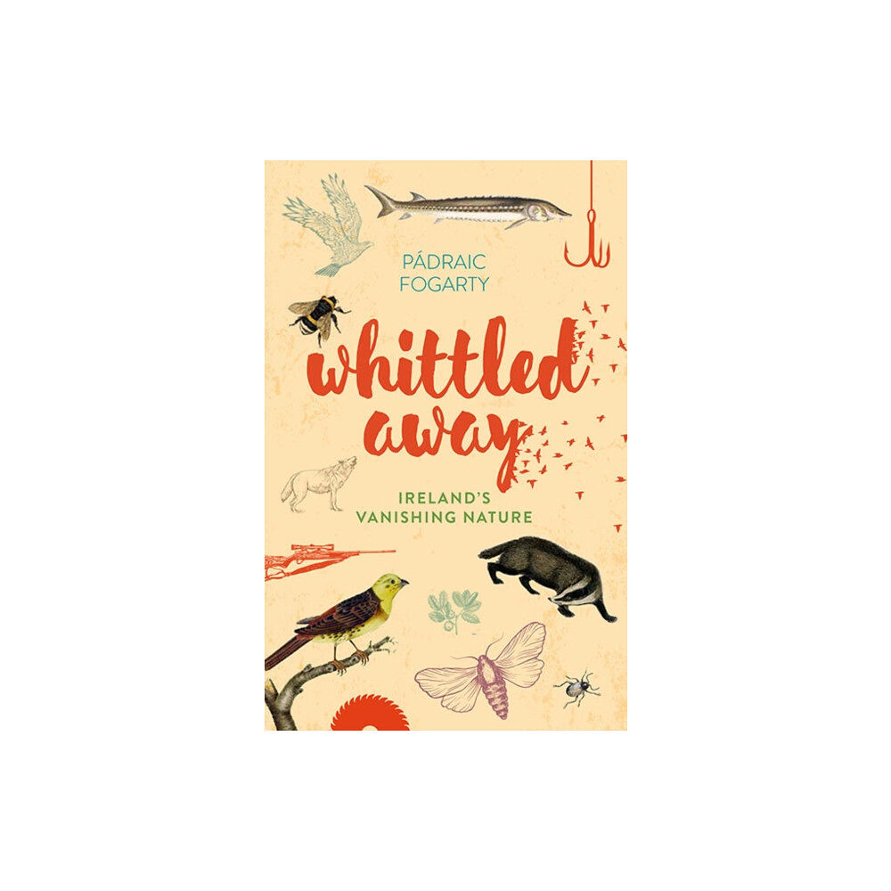 Gill Whittled Away (inbunden, eng)