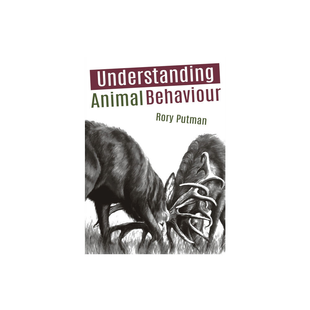 Porto Press Ltd Understanding Animal Behaviour (häftad, eng)