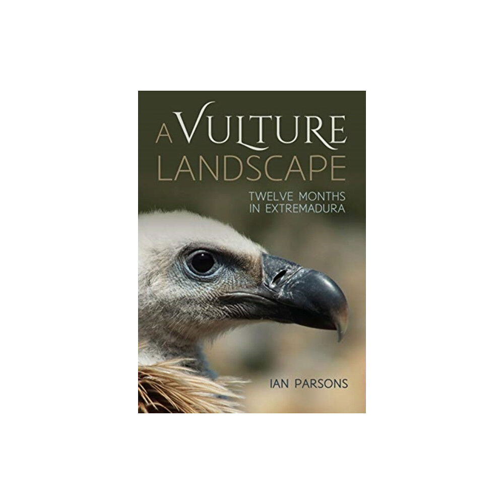 Porto Press Ltd A Vulture Landscape (häftad, eng)