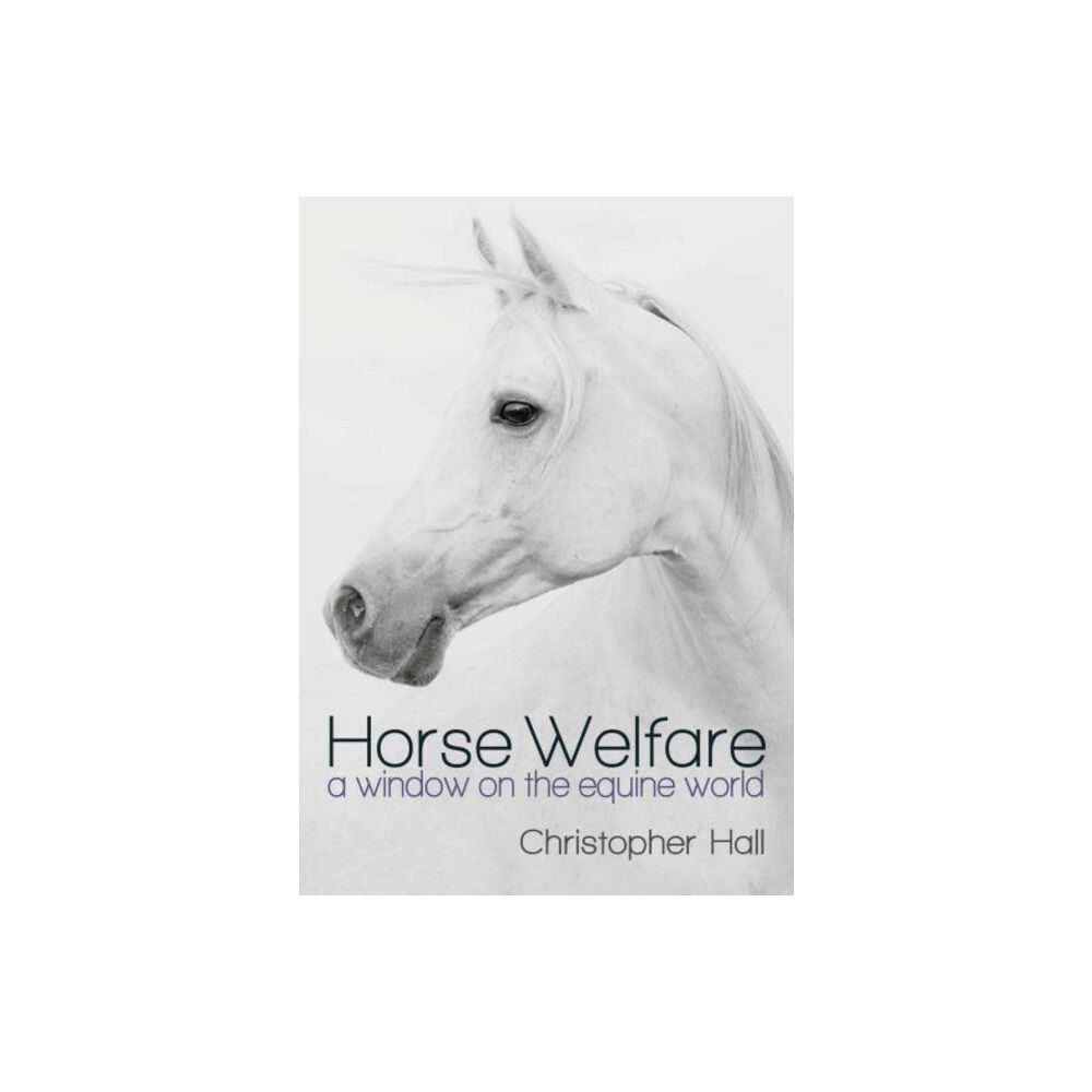 Porto Press Ltd Horse Welfare (häftad, eng)