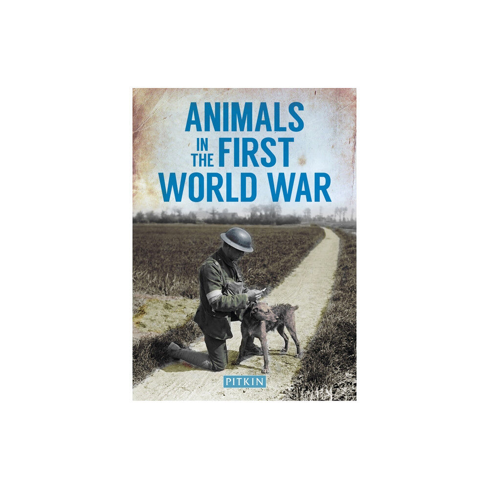 Batsford Animals in the First World War (häftad, eng)