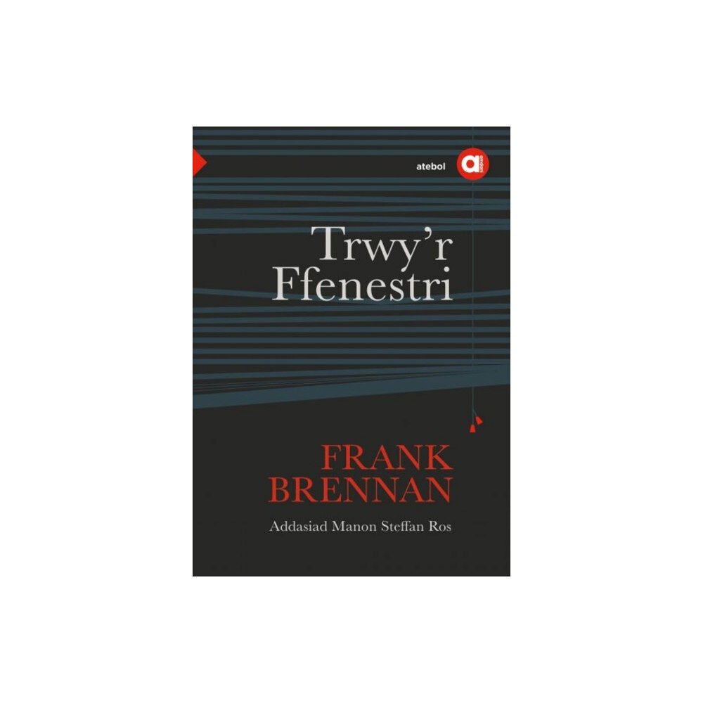 Atebol Cyfyngedig Cyfres Amdani: Trwy'r Ffenestri (häftad, wel)