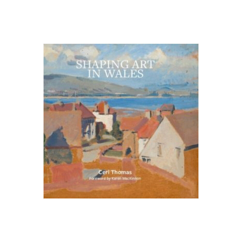 The Hmm Foundation Shaping Art in Wales (inbunden, eng)