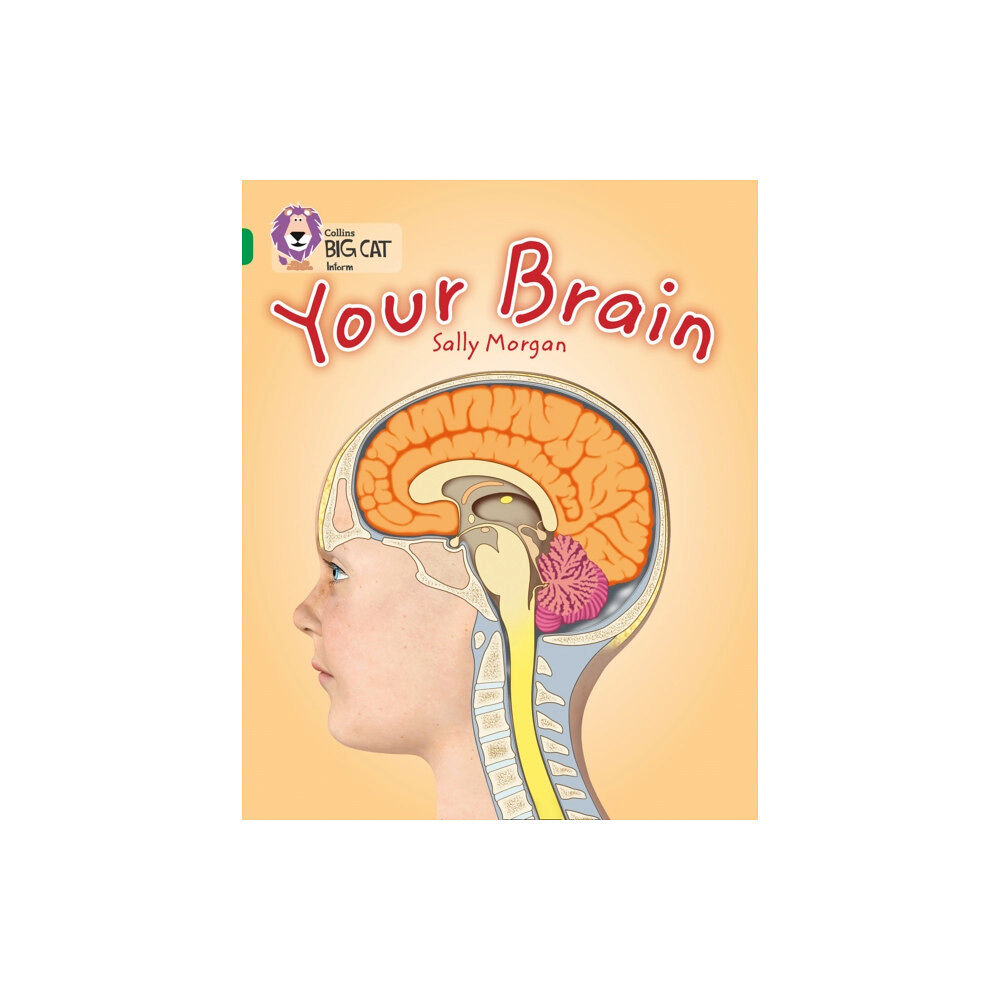 HarperCollins Publishers Your Brain (häftad, eng)