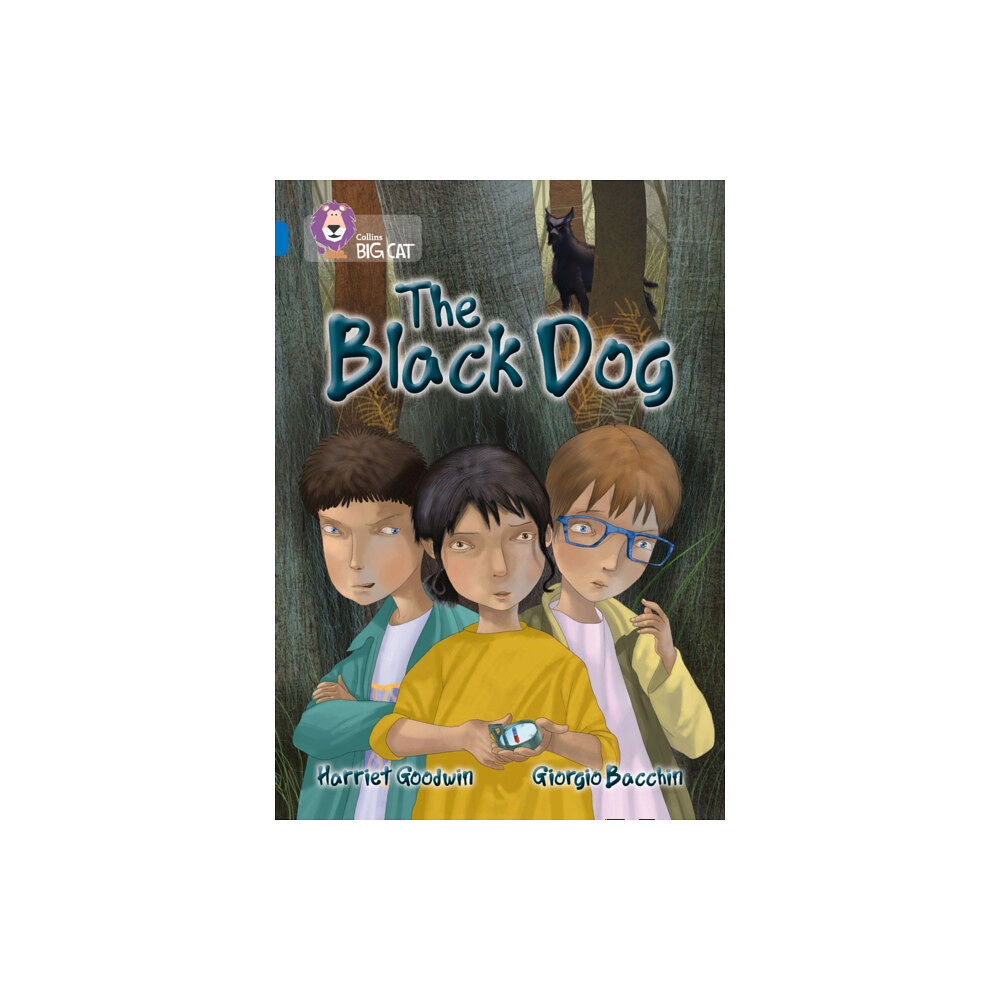 HarperCollins Publishers The Black Dog (häftad, eng)