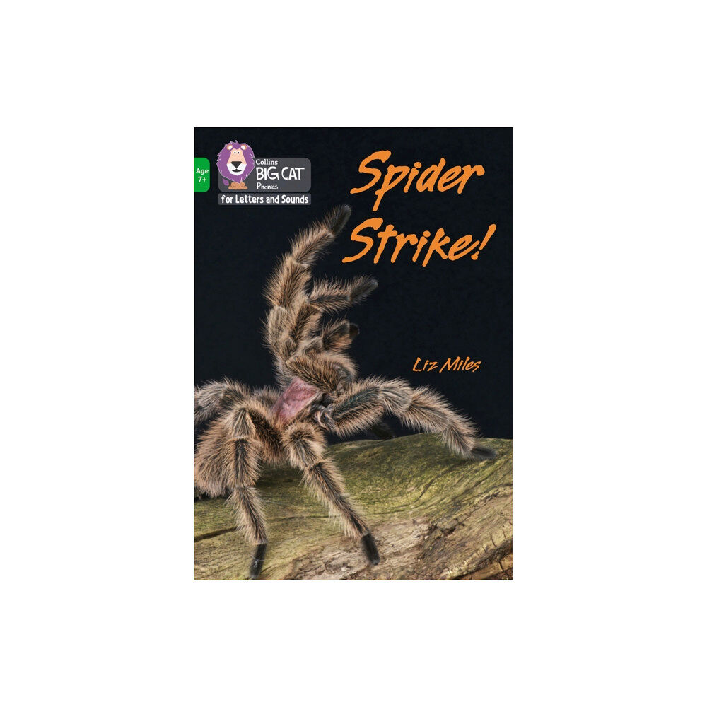 HarperCollins Publishers Spider Strike! (häftad, eng)