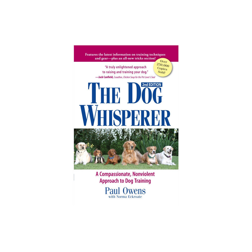 Adams Media Corporation The Dog Whisperer (häftad, eng)