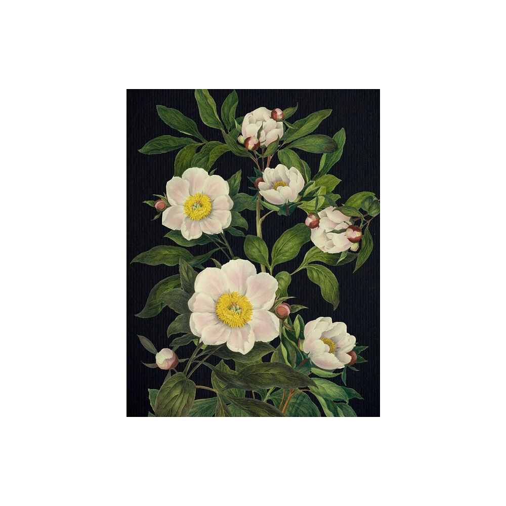 Editors of Chartwell Books Blooming Flowers Journal (häftad, eng)