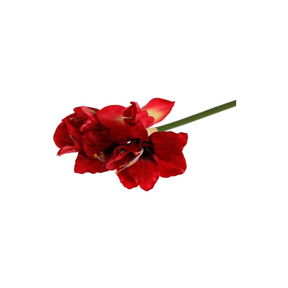 [NORDIC Brands] Dekoration Amaryllis 50cm