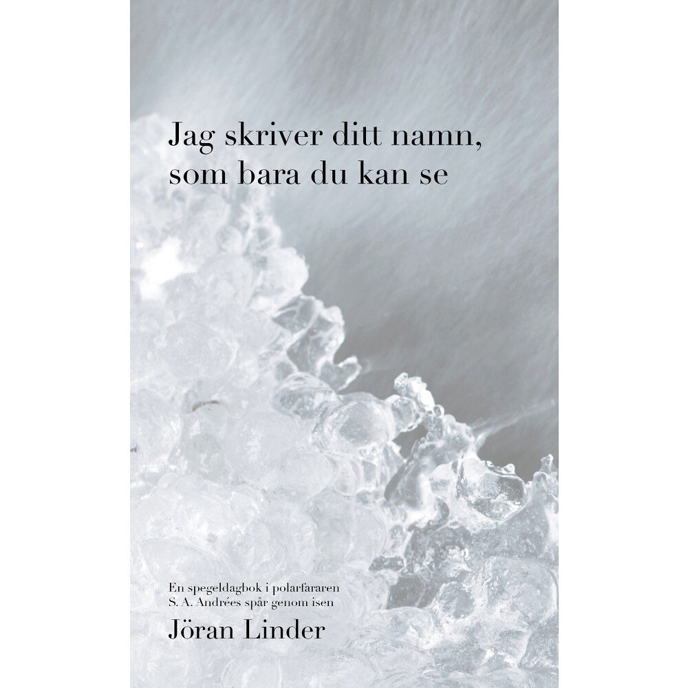 Jöran Linder Jag skriver ditt namn som bara du kan se : en spegeldagbok i polarfararen S. A. Andrées spår genom isen (bok, danskt ban...
