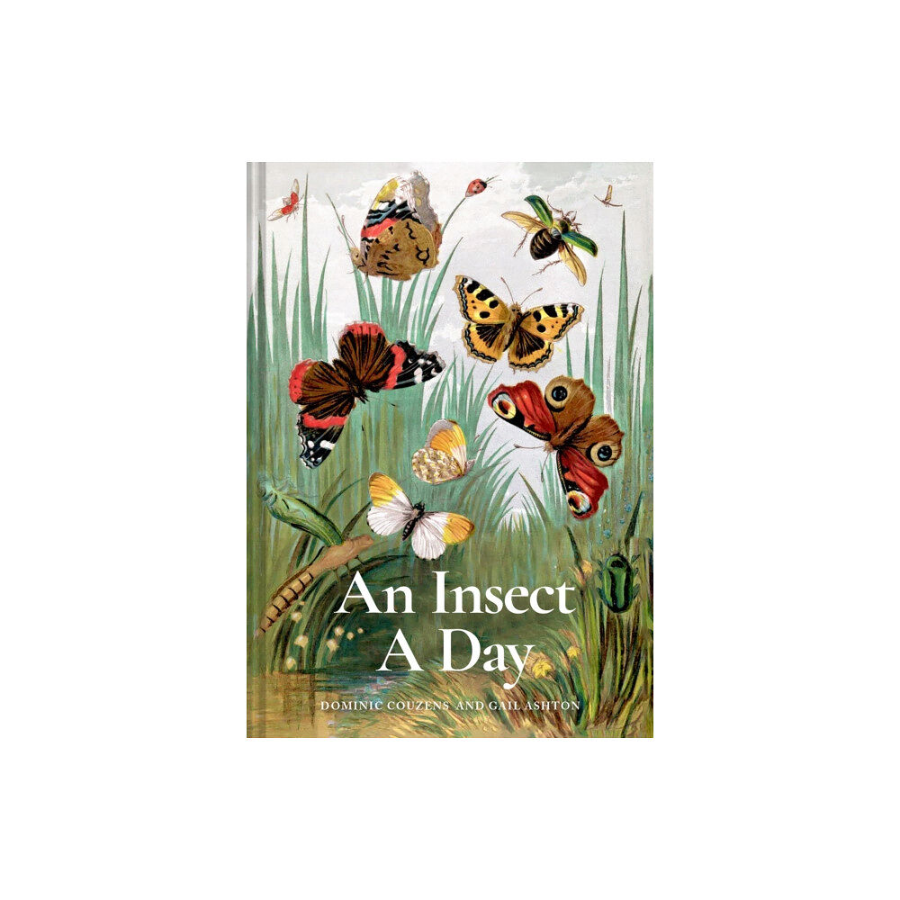 Batsford An Insect A Day (inbunden, eng)