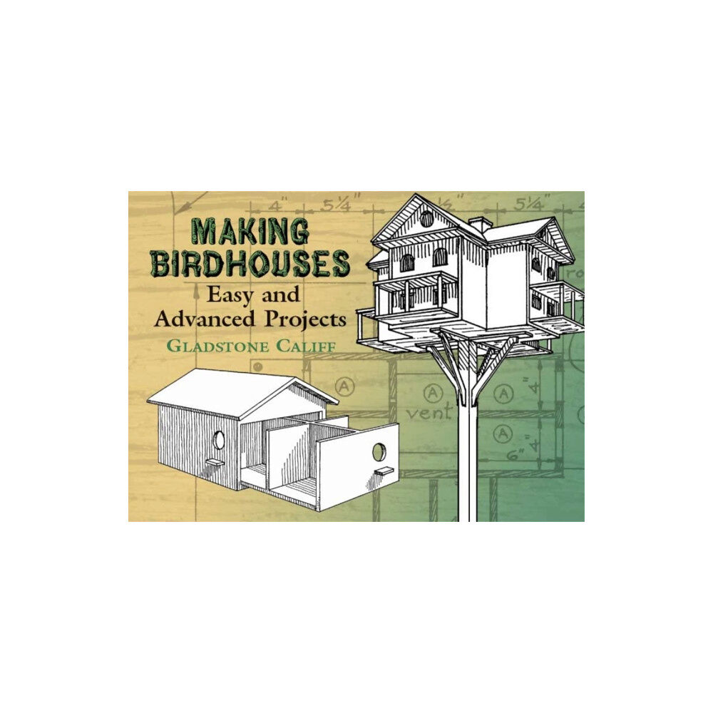 Dover publications inc. Making Birdhouses (häftad, eng)