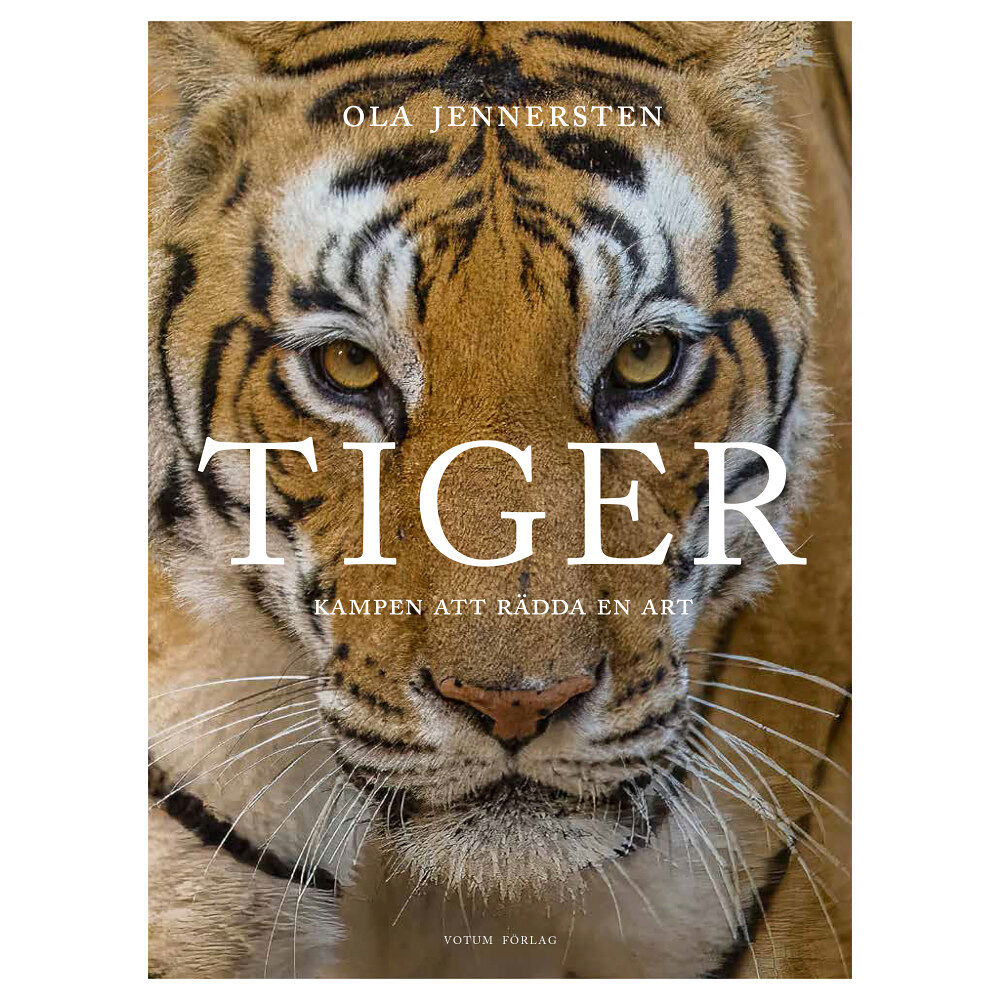 Votum Förlag Tiger : kampen att rädda en art (inbunden)